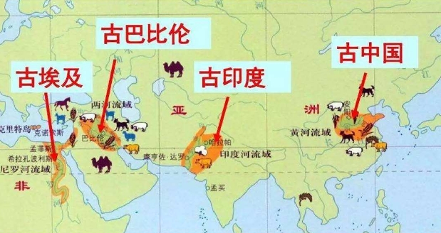 汉字字体的演变,汉字的演变小报