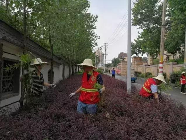 栖霞公路环境整治,栖霞市综合治理