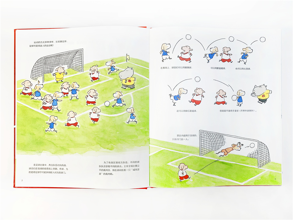 关于运动的绘本,拓宽眼界丰富知识