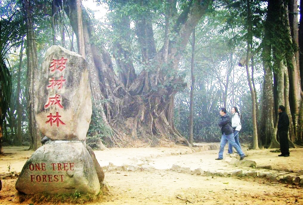 云南瑞丽旅游必去的6个景点,云南瑞丽游玩景点攻略