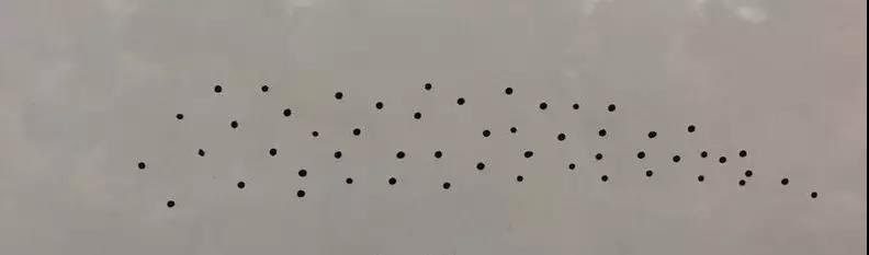 线条眉不洗能直接做雾眉吗,线条眉后期可以改雾眉吗