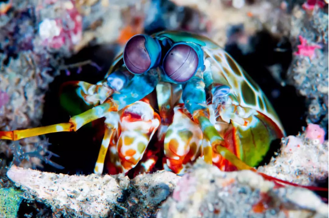 走过很多地方的诗句,走过很多地方原唱