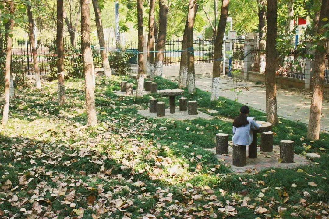 安徽13所一本大学名单,安徽省高校简介