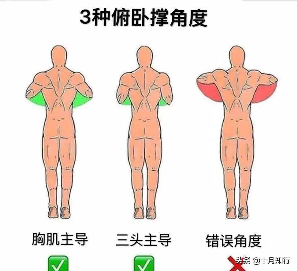 深蹲和俯卧撑是最好的力量训练,深蹲俯卧撑做法