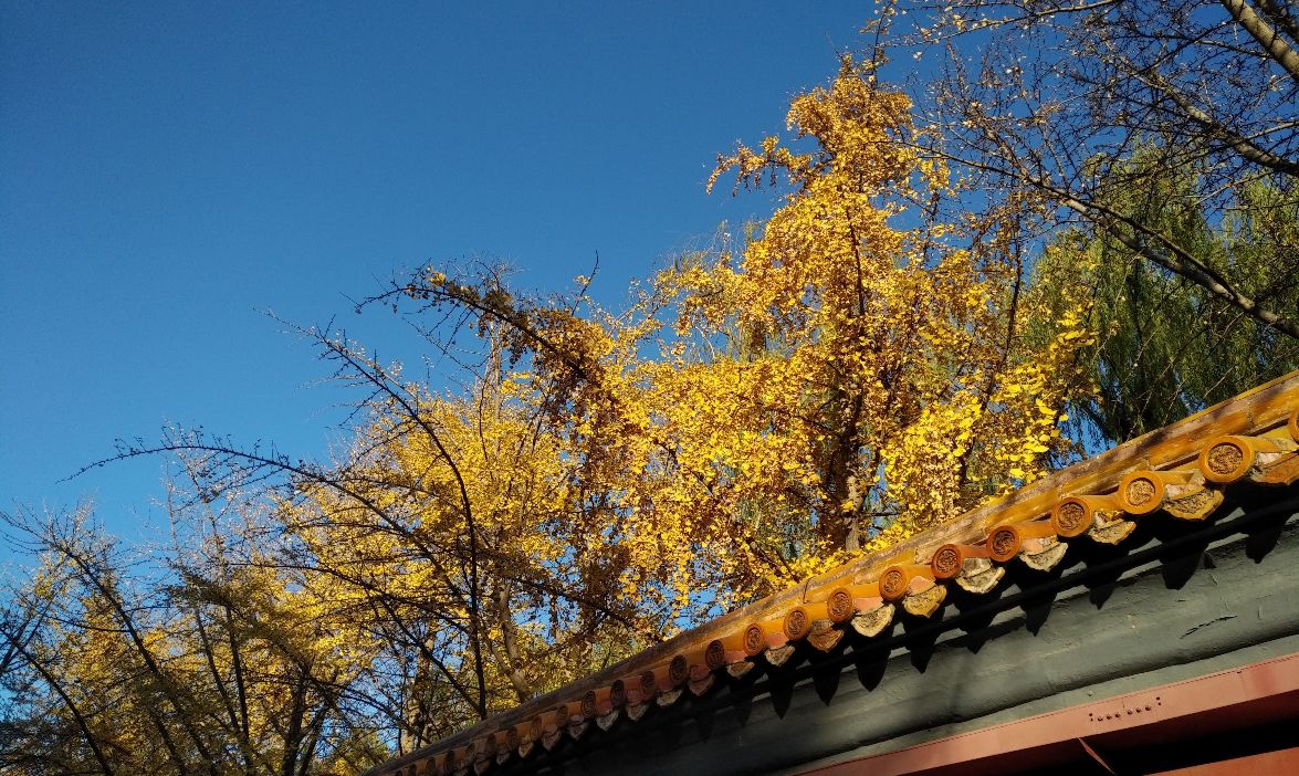 黑莓手机全键盘最新款,黑莓全键盘黑莓key2