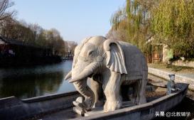 小学孩子对数学不太理解怎么办,小学数学孩子根本不懂题意怎么办