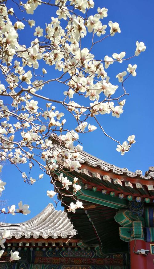 老北京的味儿在哪里,老北京的味道