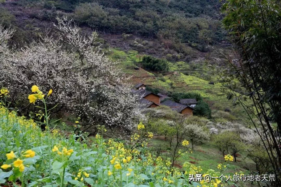 广西哪些城市是靠一碗粉火起来的,凭一碗螺蛳粉征服世界