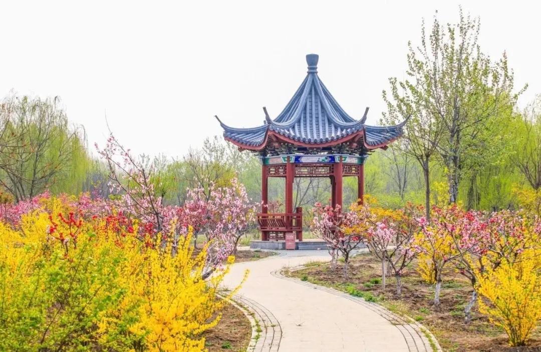一个不出郑州的踏青好去处,天津春游公园推荐