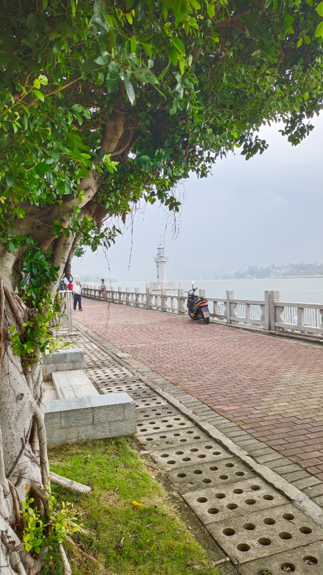 珠海井岸黄楊河湿地公园,20200927