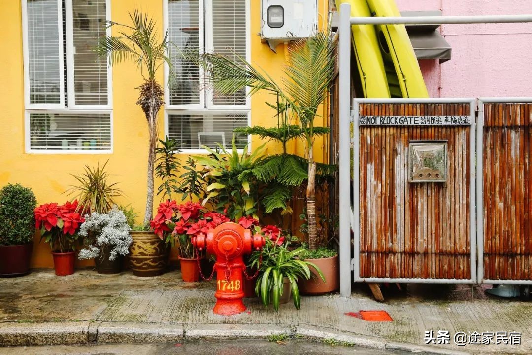 香港小众景点值得去吗,去香港必去的几个地方