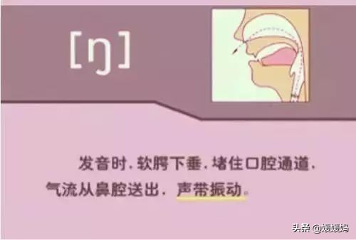 音标教学视频48个快速记忆法,英语48个音标发音教程视频