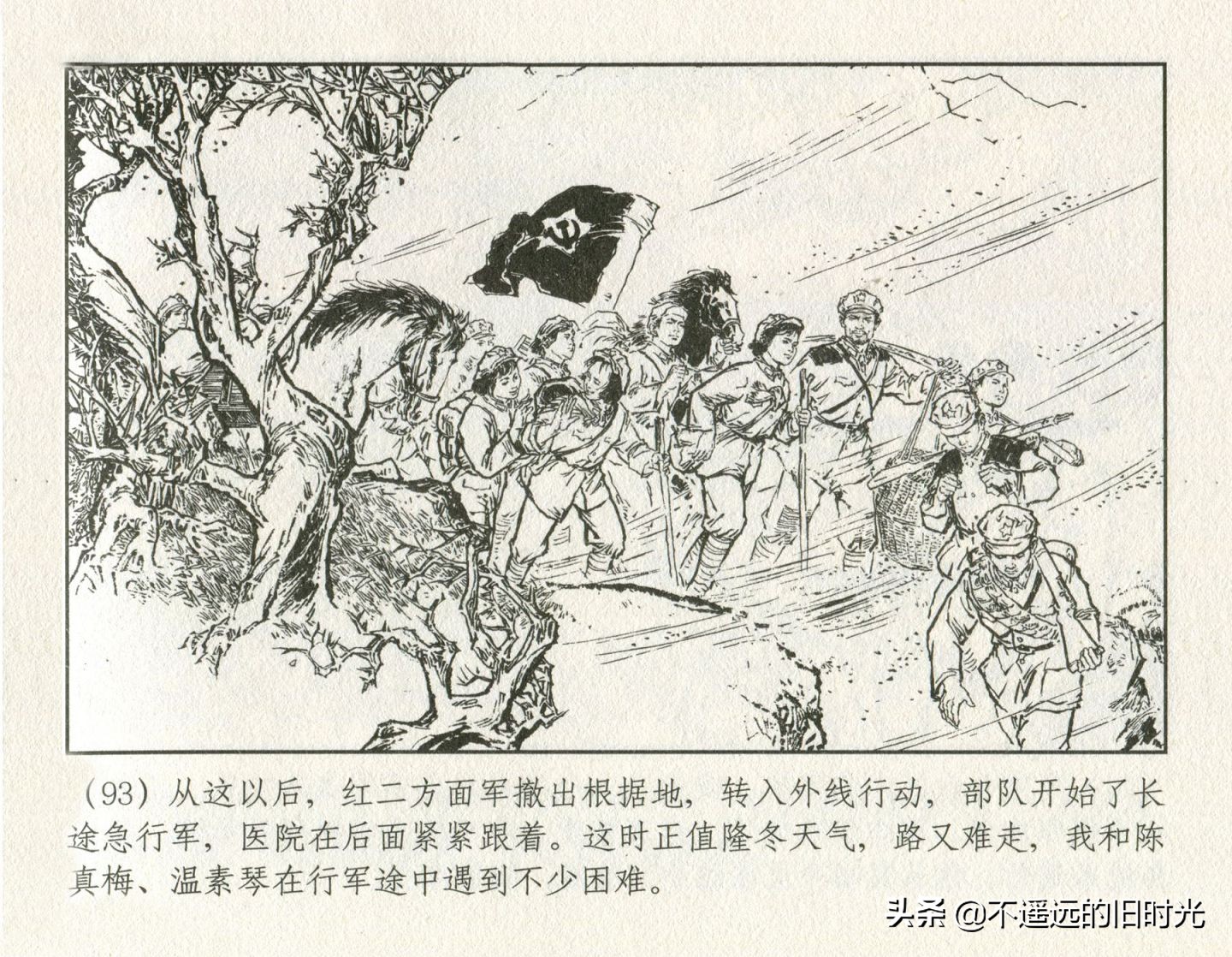 朝阳花-上海人民美术出版社1981初版2016再版陆成法陆小弟绘