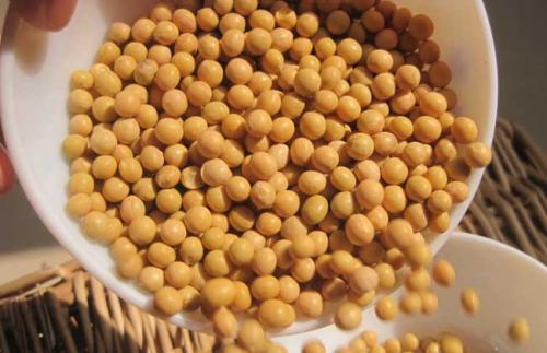 大豆深加工项目有哪些,大豆深加工详解