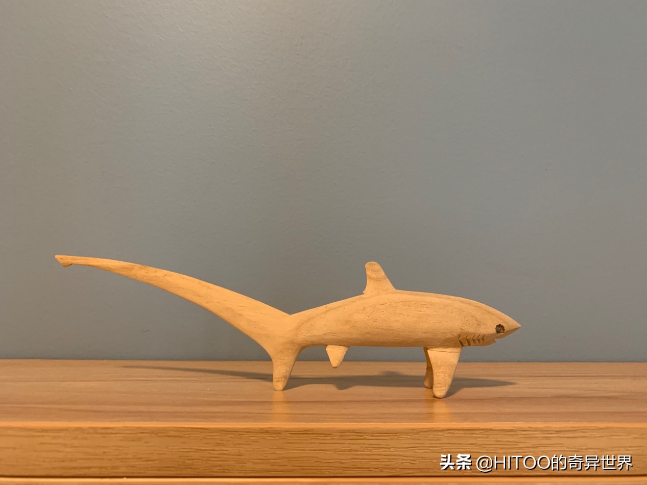 一份二逼潜水员的菲律宾购物清单