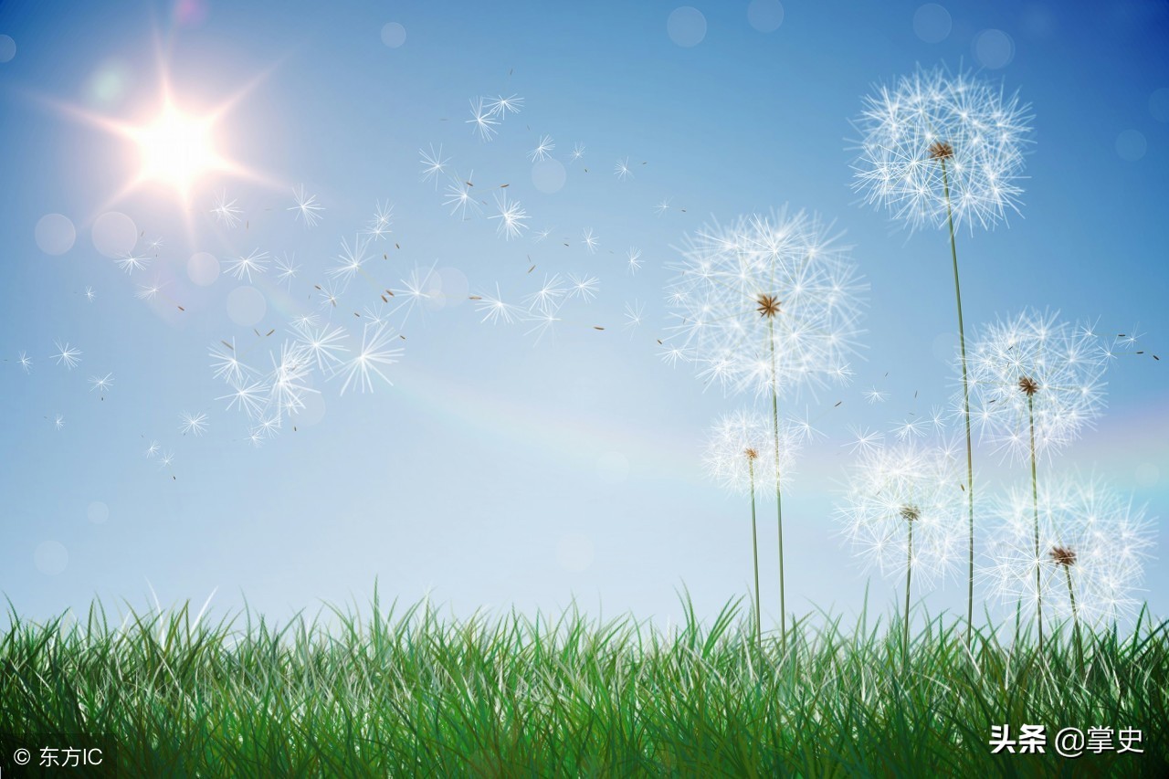 水调歌头苏轼全文书法,苏轼脍炙人口的词作《水调歌头》