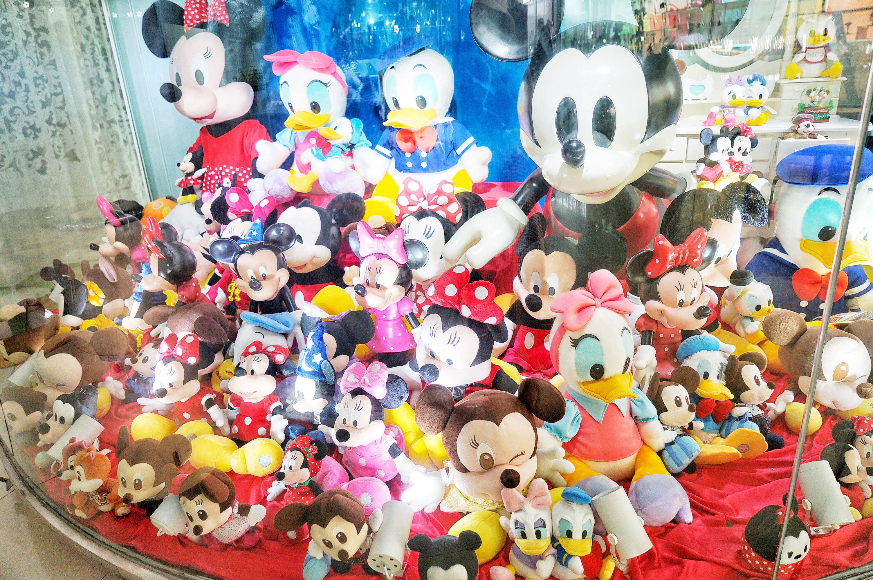 广州粉色浪漫花海,广东秋天粉色花海