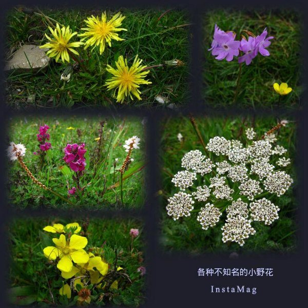 四姑娘山冬日旅行,2022年冬天四姑娘山游记