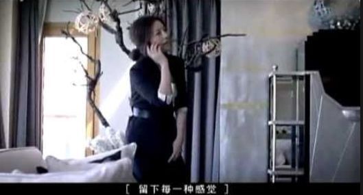 赵薇亲和力,赵薇的热度