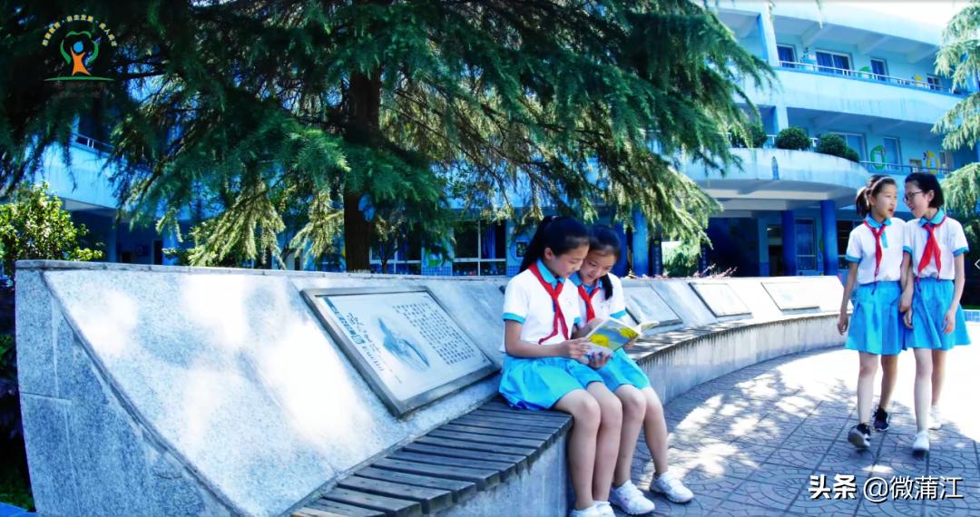 泡桐树小学蒲江分校图片,泡桐树小学蒲江分校怎么样