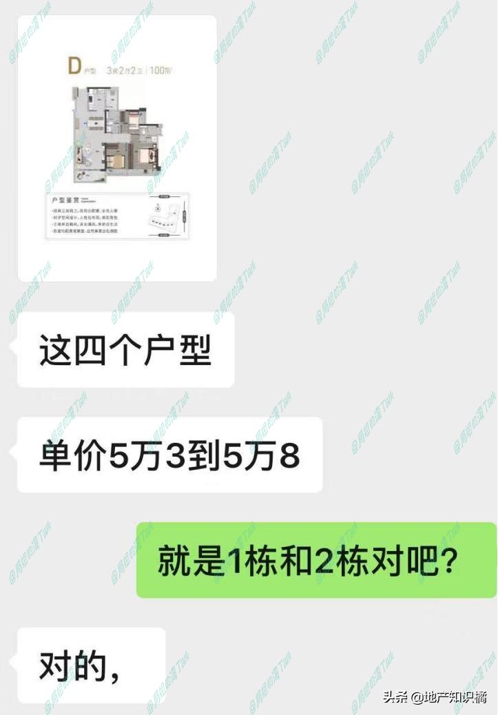 “鸽王”老黄埔终于要上新了！你还在等吗？