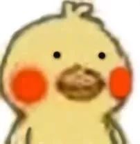 临汾同盛中学小升初2019,临汾小升初片区划分