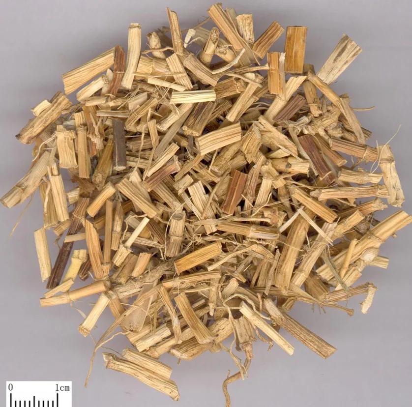 杜甫草堂简介及作用,杜甫草堂和武侯祠哪个需要讲解