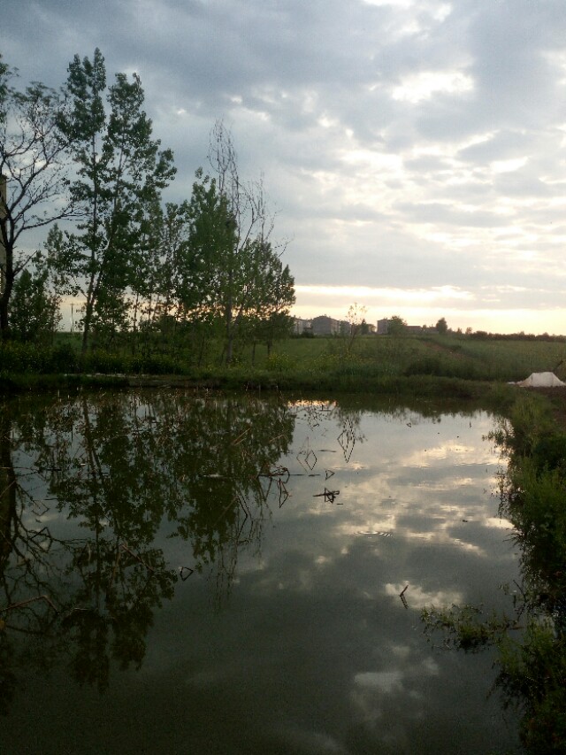 有些亲人还不如外人老死不相往来,有些亲人注定要远离