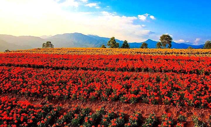 漳州东进规划图,漳州长泰与厦门未来规划