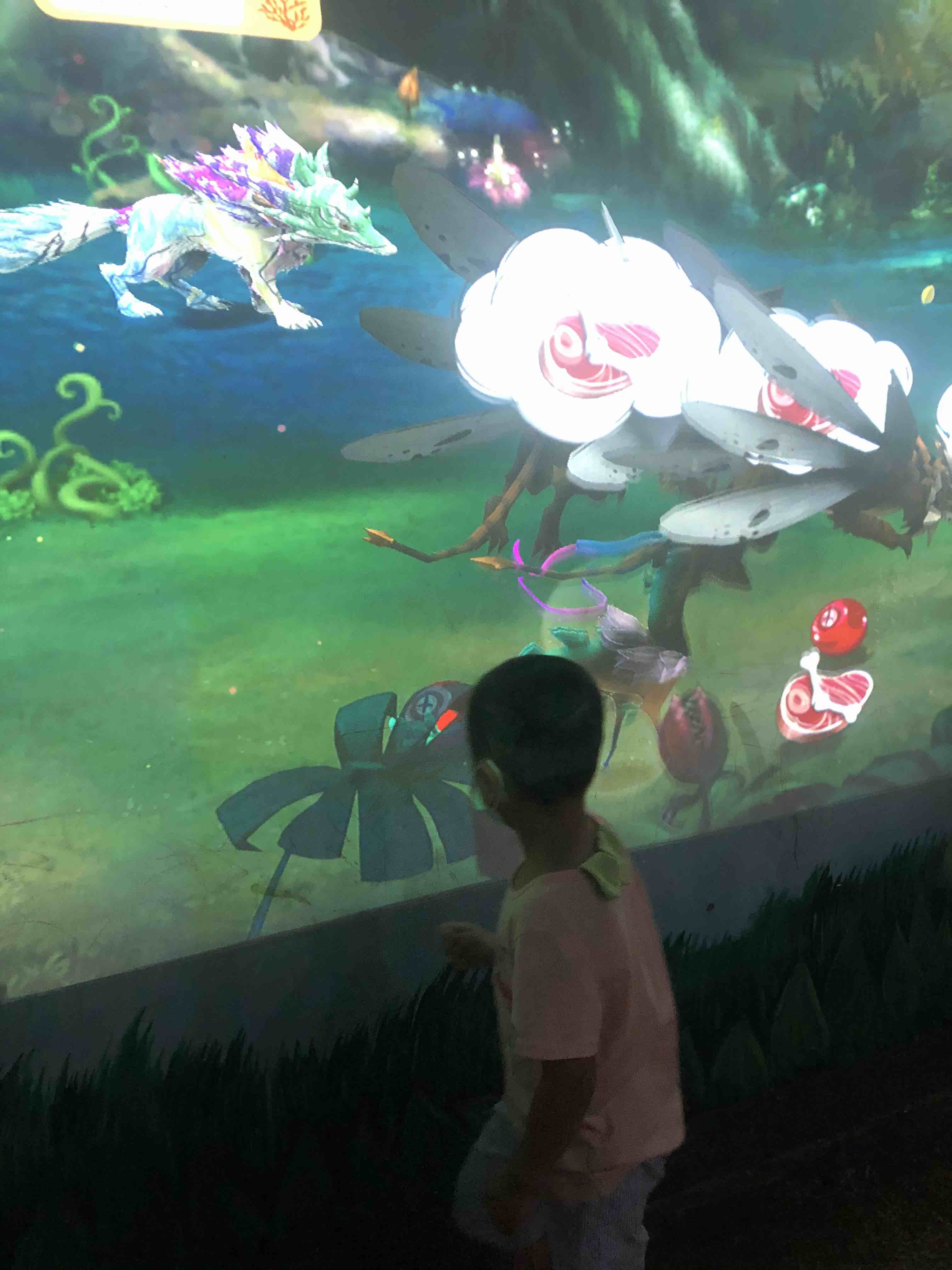 苏州森林世界乐园和华纳影城,苏州乐园森林世界漂流项目