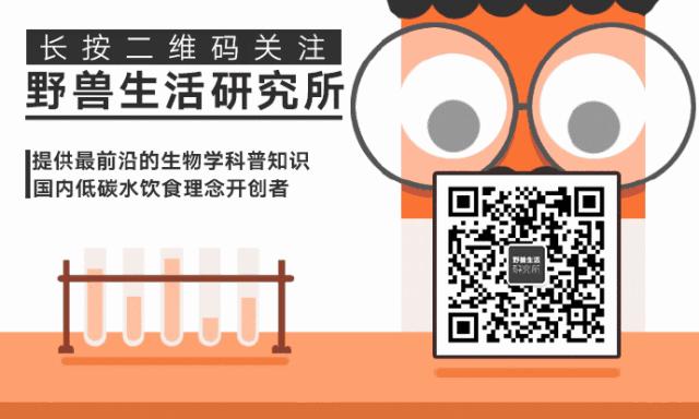 天冷了记得补充纯天然维生素c,夏天需要多补充维生素c吗