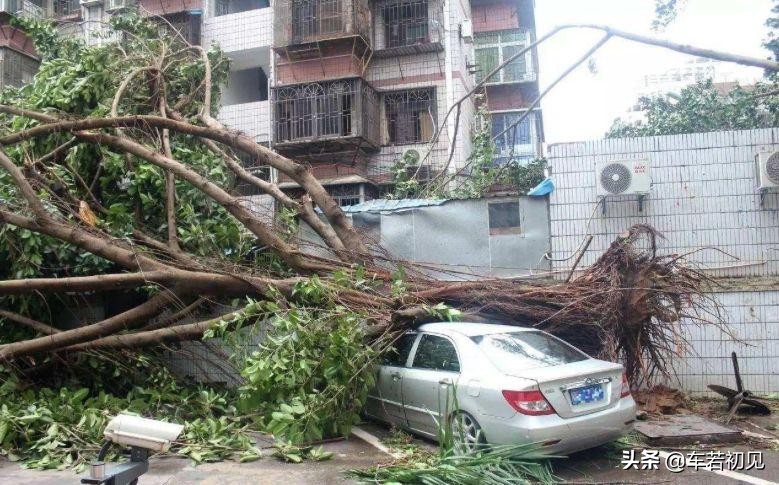 给爱车上保险,给爱车买保险技巧