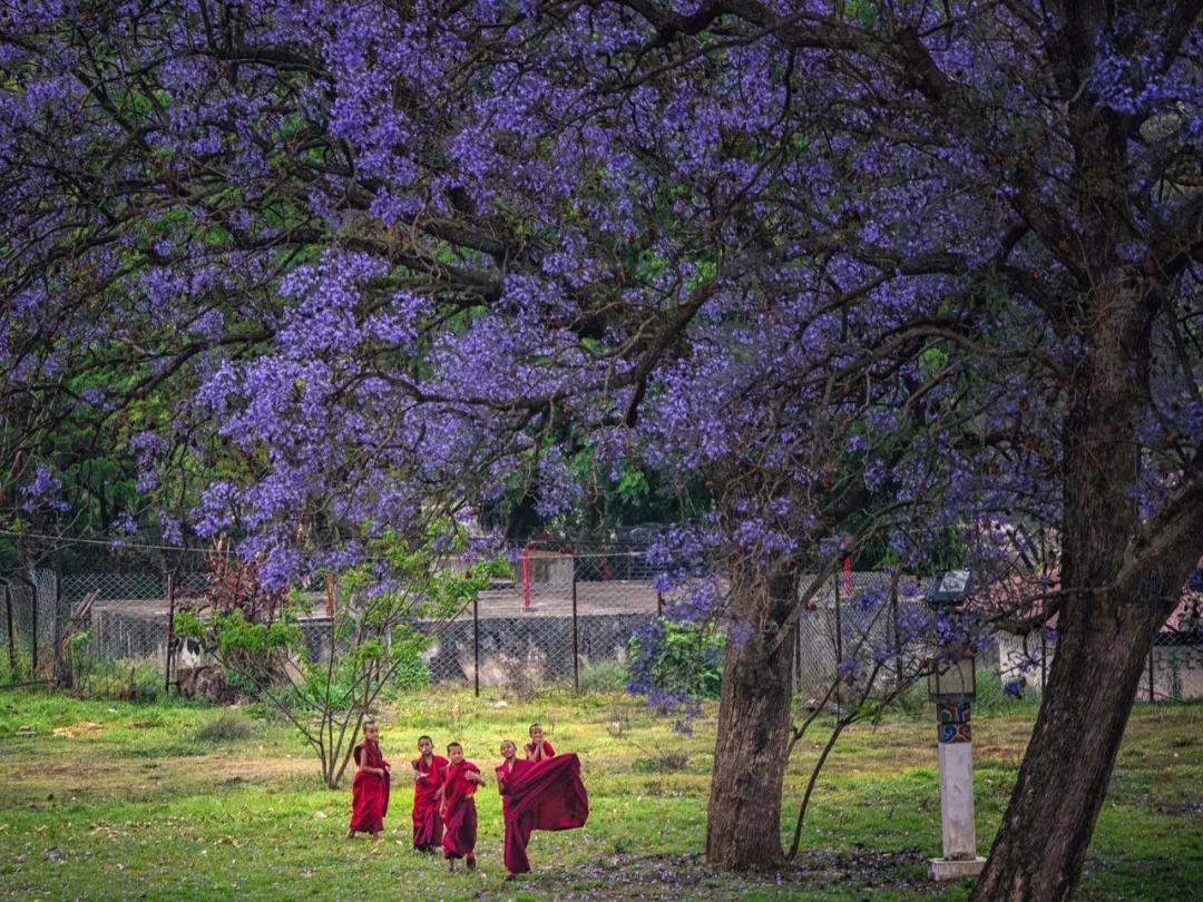 中国最没被认全的邻居,我国未被识别的民族有多少