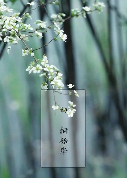 清明节雨纷纷追思故人,清明时节雨纷纷悼念故人