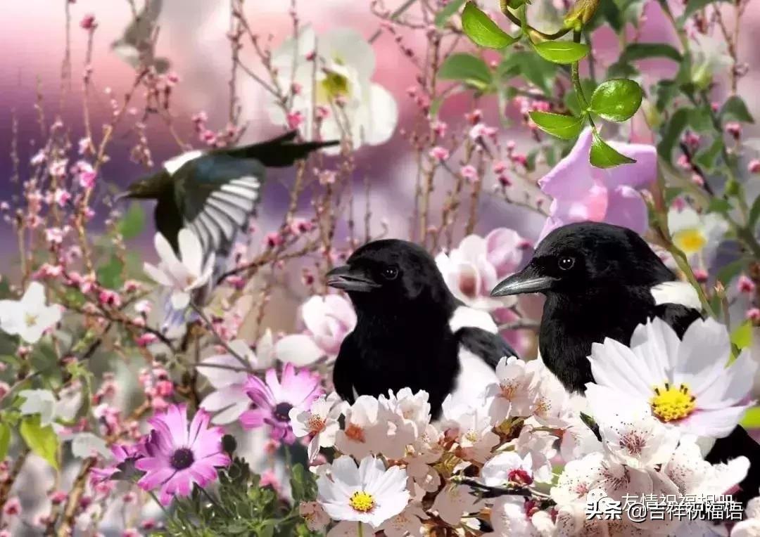 短短几字句句戳心,写得好的经典的句子