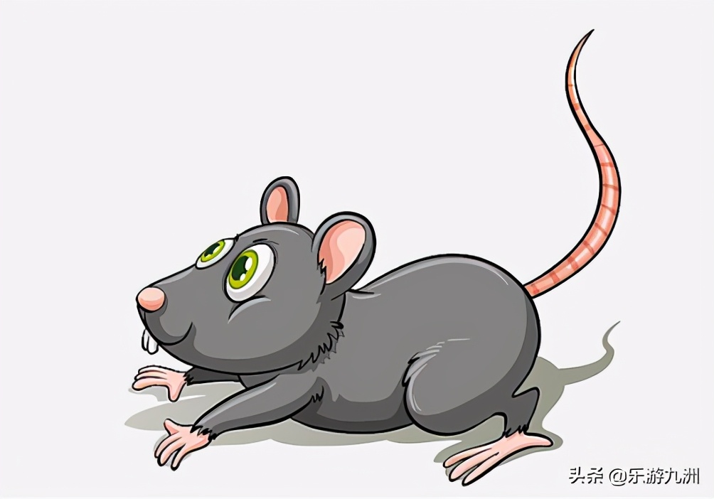 2020年鼠年老鼠,2020年鼠最后的一天