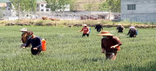 娌冲崡澶╂槑鐜繚绉戞妧鏈夐檺鍏徃鎬庢牱,澶╂槑鐜繚绉戞妧鏈夐檺鍏徃