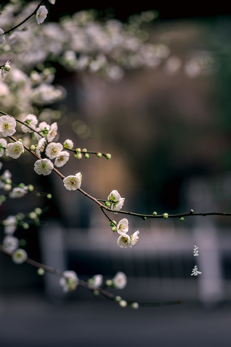 立春意味着新的一年农事的开始,立春和雨水与农事有什么关系