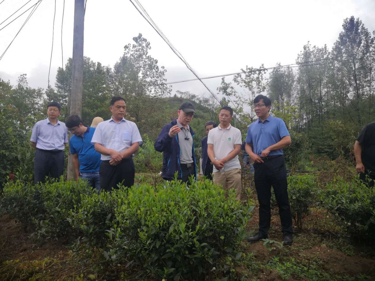 云飞科技珠海,云飞科技有限公司