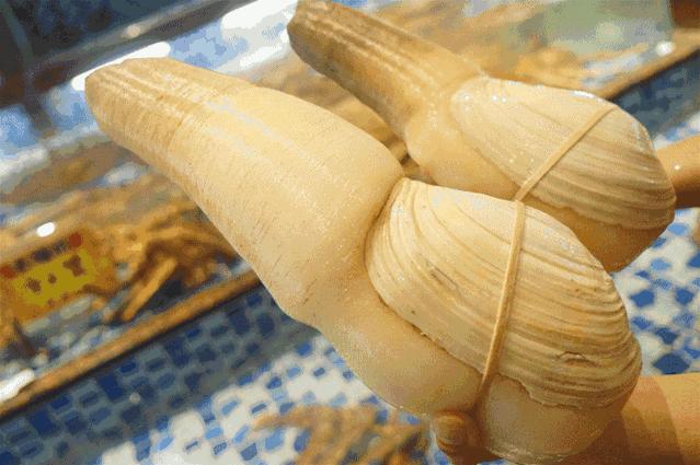 广州荔湾象拔蚌刺身,生蚝象拔蚌海鲜自助