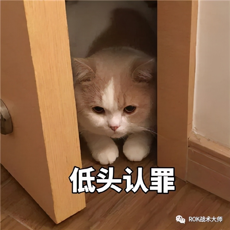 万国觉醒宝石怎么用最划算,万国觉醒宝石使用记录在哪里看