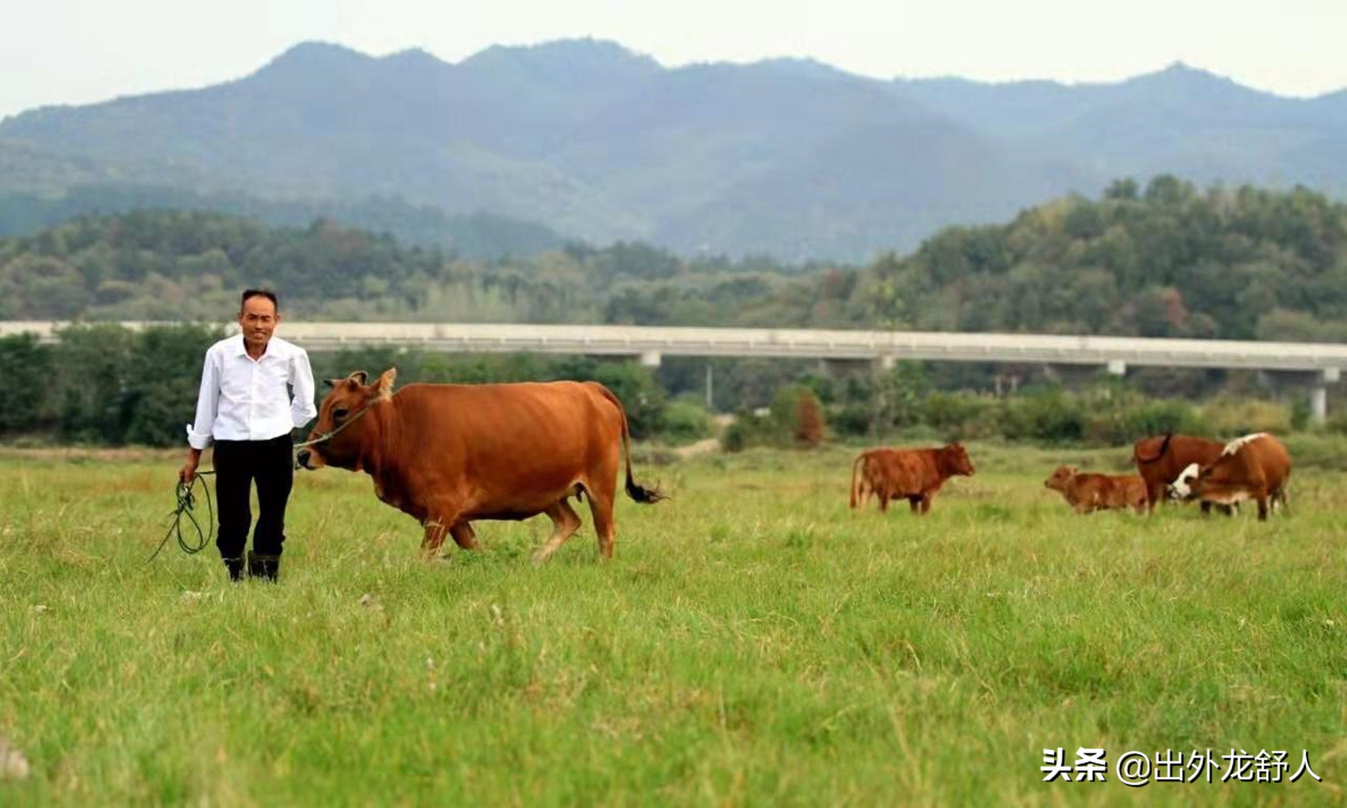安徽农耕文化密码,安徽舒城的风土人情