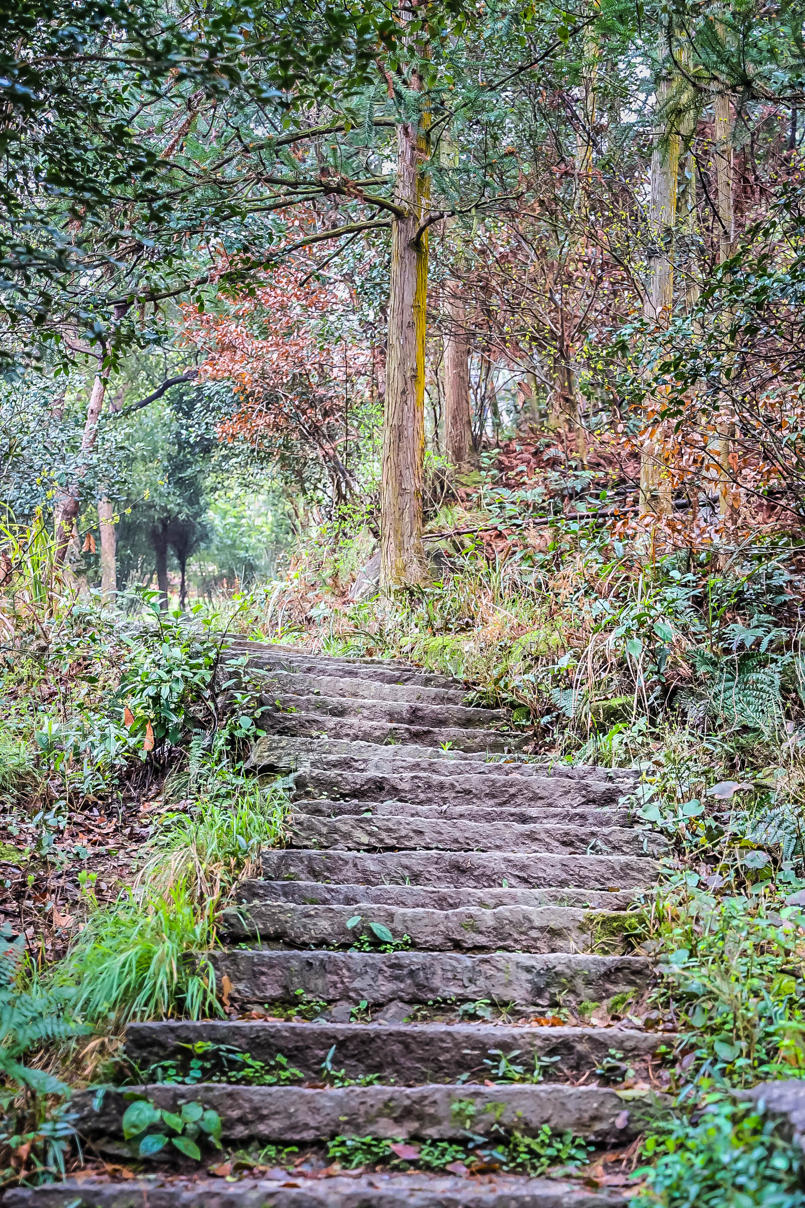 南昌湾里一日游攻略,南昌湾里徒步攻略