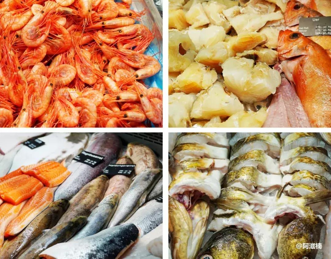 为了吃最贵的鱼你们会驱车多远,世界上最难吃的鱼青花鱼