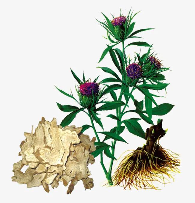 脑损伤中医名贵用药,脑内科常用药物一览表