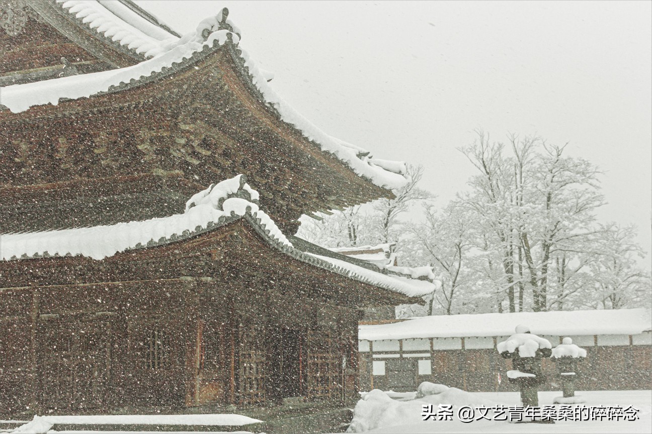 冬季日本的自驾游攻略,冬日游日本名古屋攻略