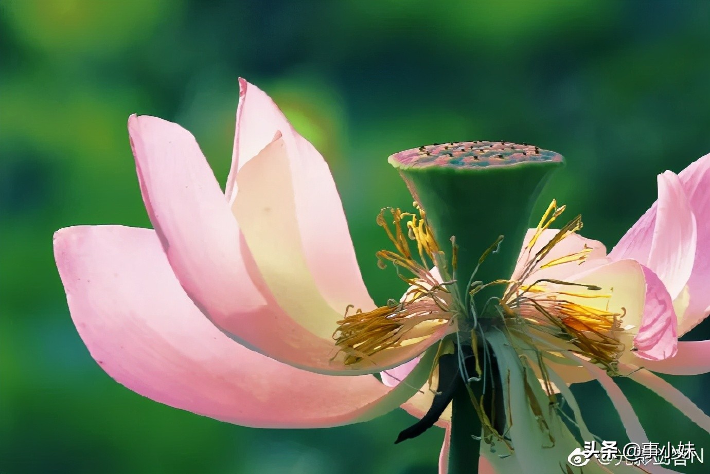 南京是什么味的,南京以什么口味为主