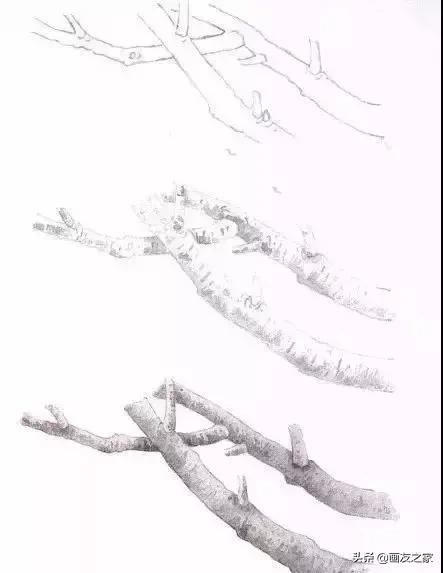 工笔梅花教学,工笔梅花设色技巧