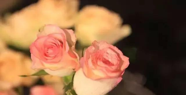 每天学习一点点女性小常识,每天学习一点点科普一下