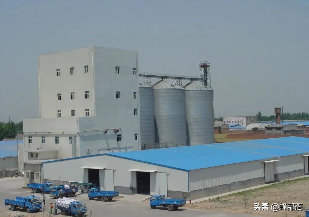 农村无需投资的10个赚钱项目,农村现在做什么项目比较赚钱